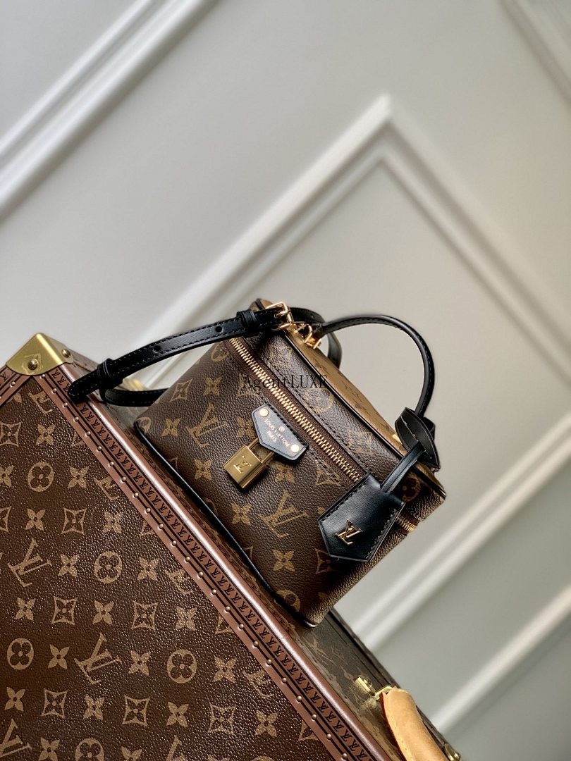 LOUIS VUITTON VANITY CHAIN POUCH MONOGRAM
